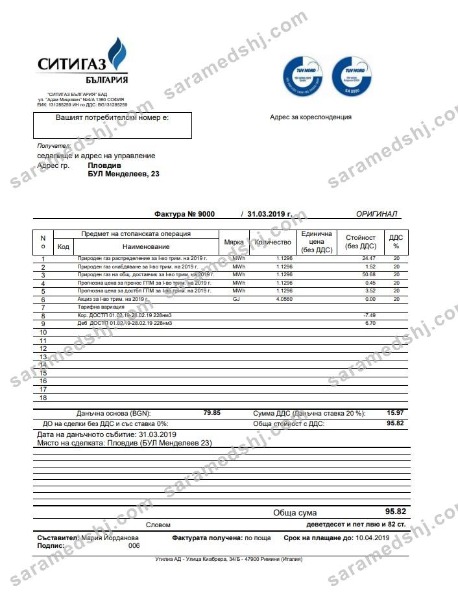 Bulgary Ситигаз gas utility bill template in Word and PDF format